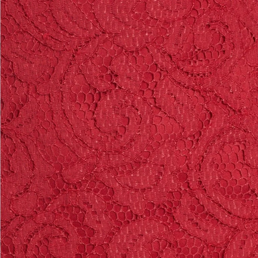 Adrianna Papell Lace Sheath Dress, Cherry Red, Size 4, Wedding Guest/Romantic - Picture 4 of 5